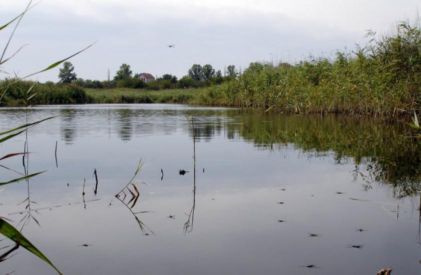 Леніна з panoramio.com - Леніна