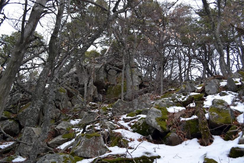 Виноградний з panoramio.com