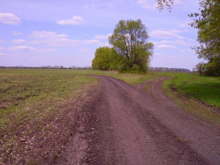 Середівка з panoramio.com - Середівка