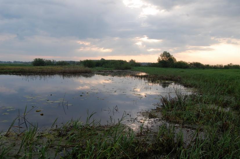 Куликовичі з panoramio.com - Куликовичі