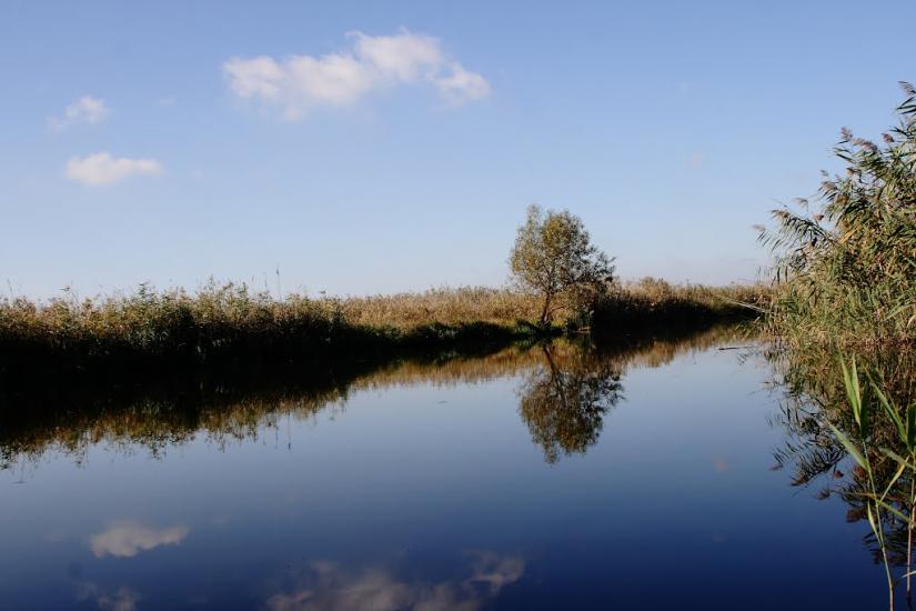 Красноармійське з panoramio.com - Красноармійське