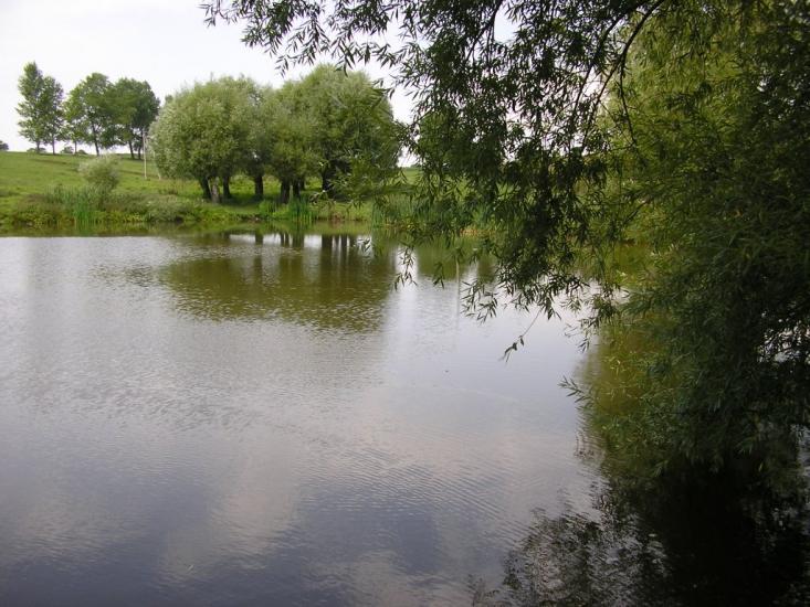 Рудківці з panoramio.com - Рудківці