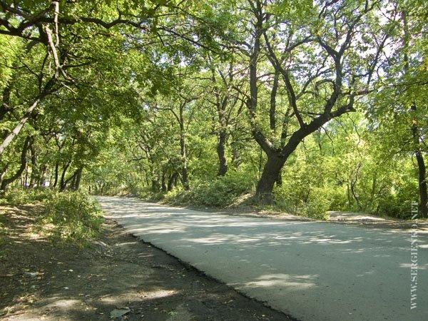 Бокове-Платове з panoramio.com - Бокове-Платове