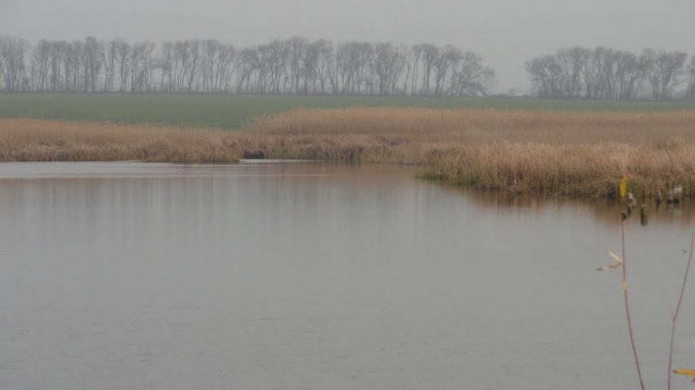 Гвоздиківка з panoramio.com - Гвоздиковка