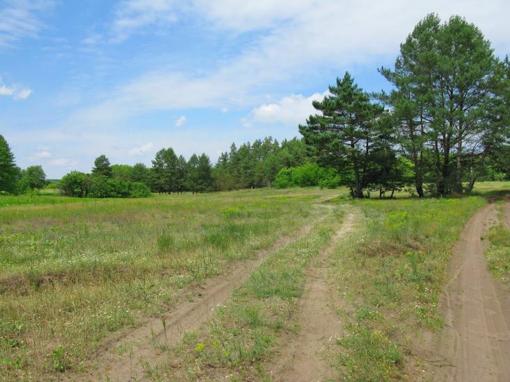 Бірки з panoramio.com - Бирки