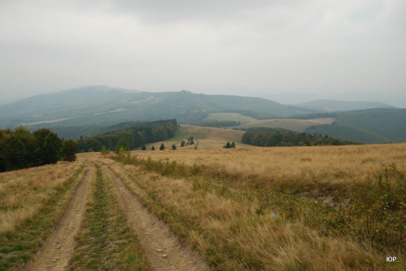 Суха з panoramio.com - Сухая