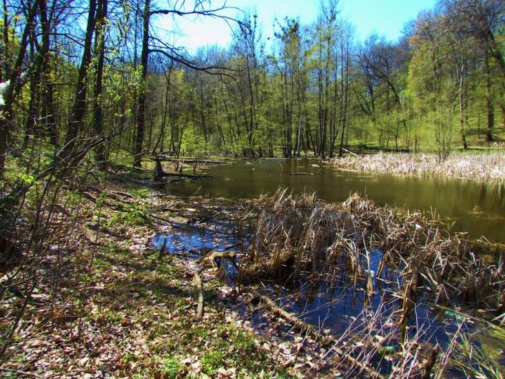 Бабаї з panoramio.com - Бабаи
