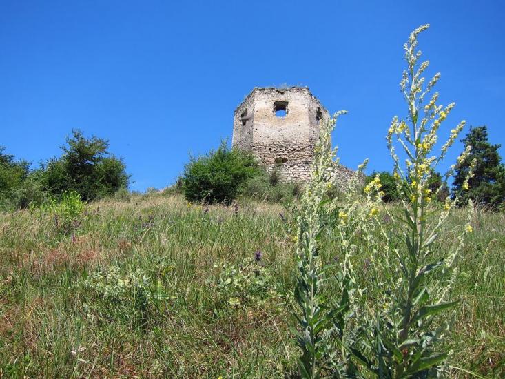 Висічка з panoramio.com - Высичка