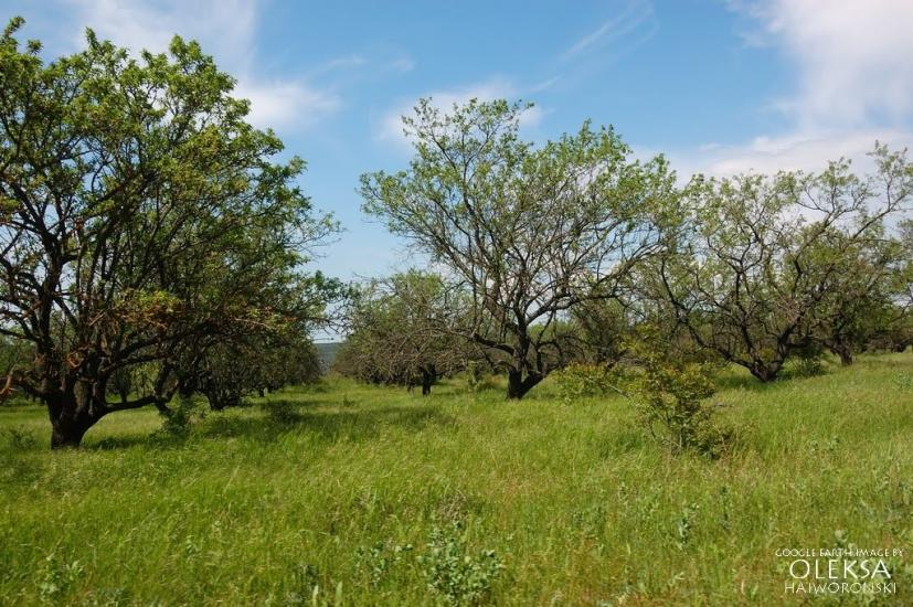Повортне з panoramio.com - Povortne