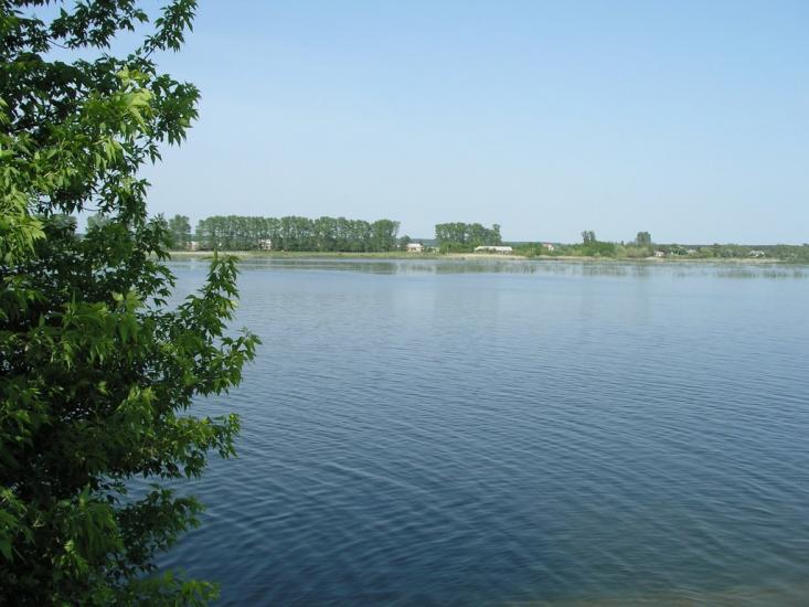 Зарічне з panoramio.com - Зарічне