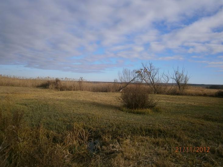 Колядівка з panoramio.com - Колядовка