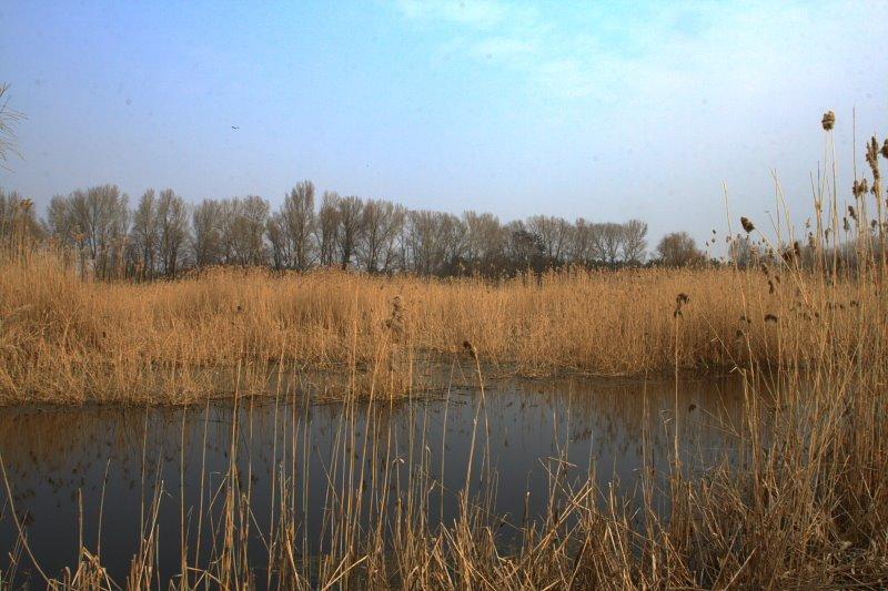 Леськи з panoramio.com - Леськи