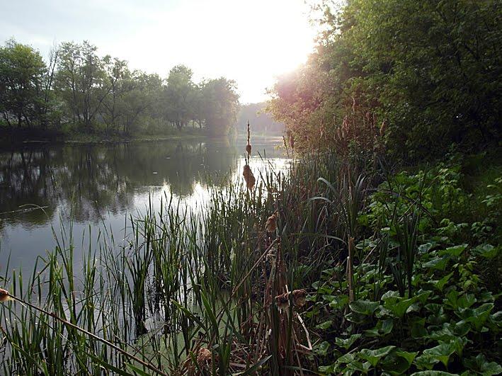 Вельбівка з panoramio.com - Вельбовка