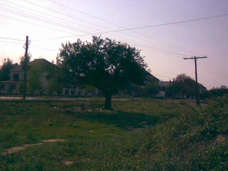 Виноградів з panoramio.com - Виноградов