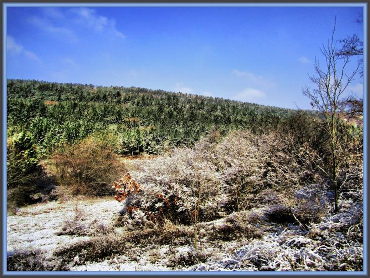 Верхньосадове з panoramio.com - Верхньосадове