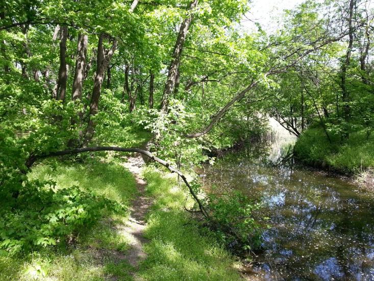 Орлівщина з panoramio.com - Орловщина