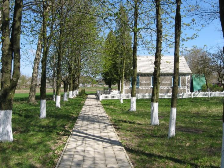 П'ятидні з panoramio.com - П'ятидні