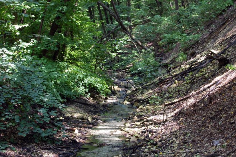 Біла Гора з panoramio.com - Біла Гора