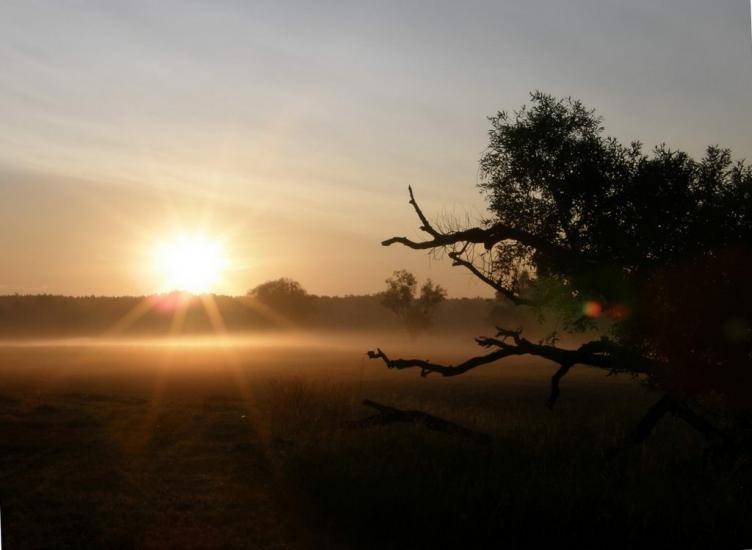 Вельбівка з panoramio.com - Вельбовка