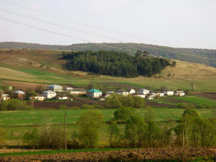 Добринів з panoramio.com - Добринев