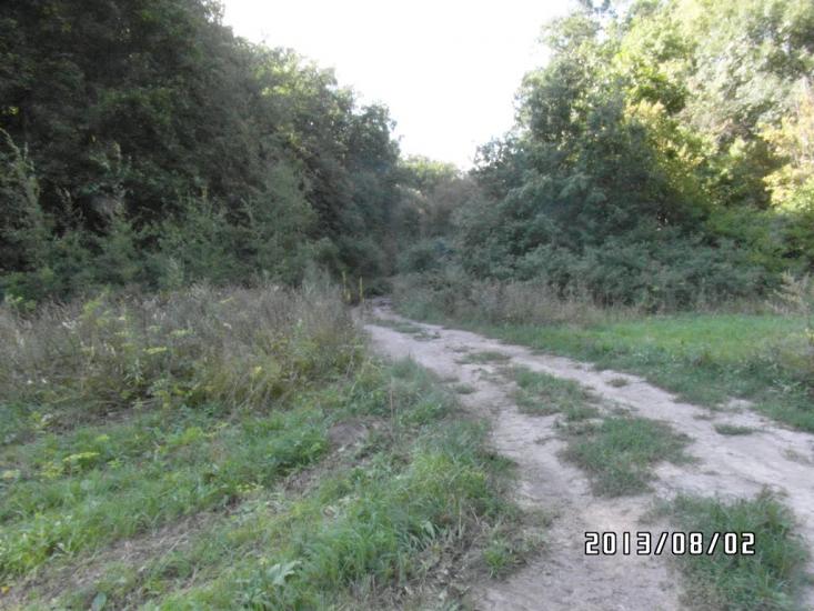 Лазуківка з panoramio.com - Лазуківка