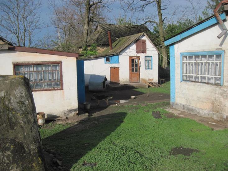 Плетений Ташлик з panoramio.com - Плетеный Ташлык