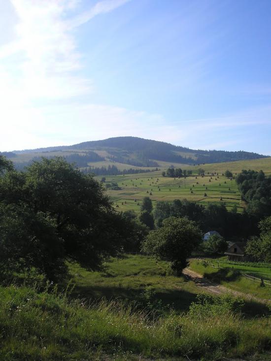 Верб'яж з panoramio.com - Вербяж