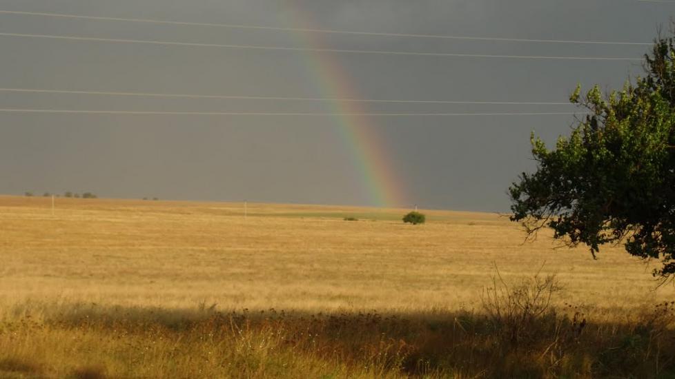 Танкове з panoramio.com - Танковое