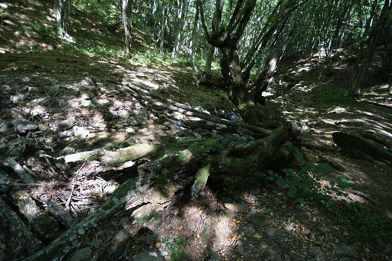 Многоріччя з panoramio.com - Многоречье
