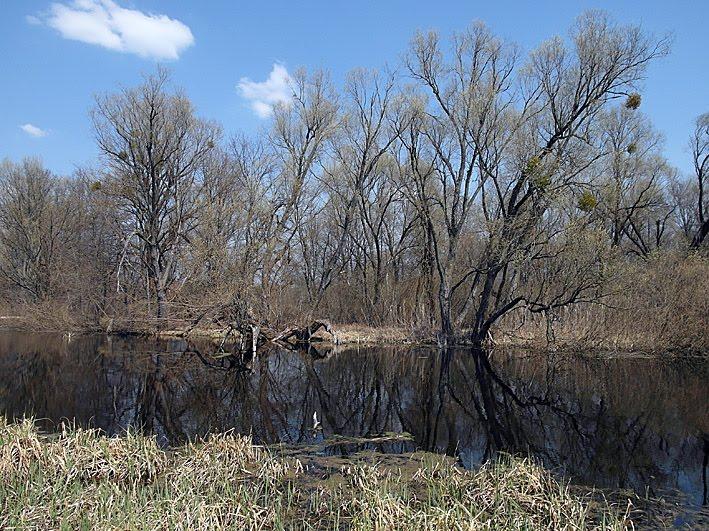 Вельбівка з panoramio.com - Вельбовка