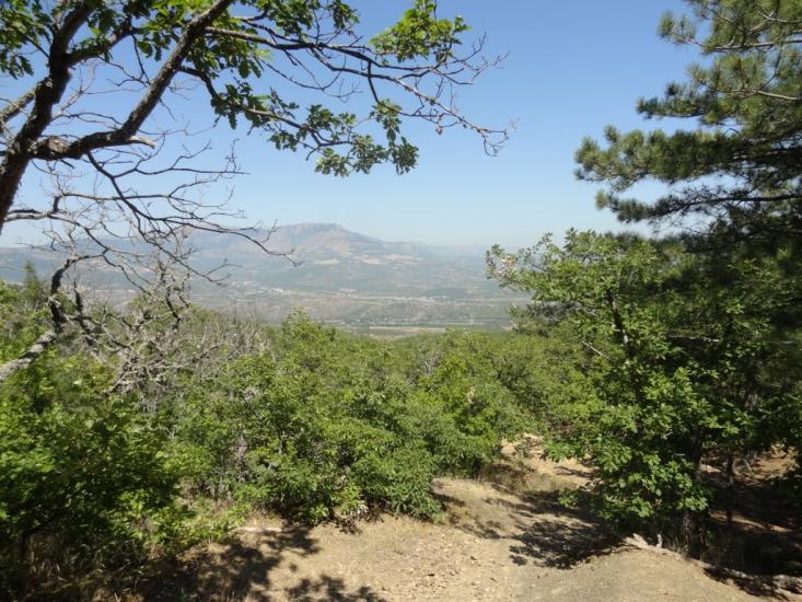 Виноградний з panoramio.com - Vynogradnyy