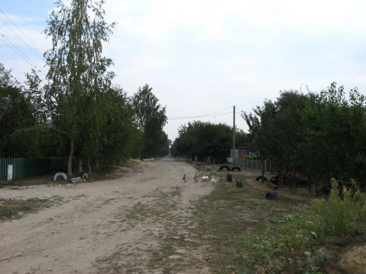 Вороніж з panoramio.com - Воронеж