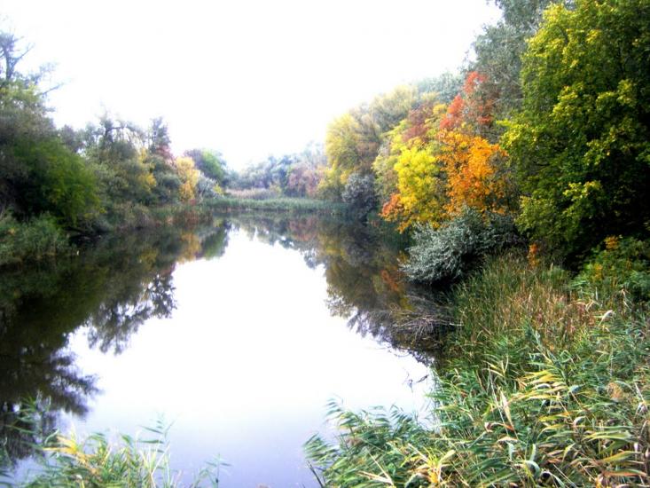 Марганець з panoramio.com - Марганец