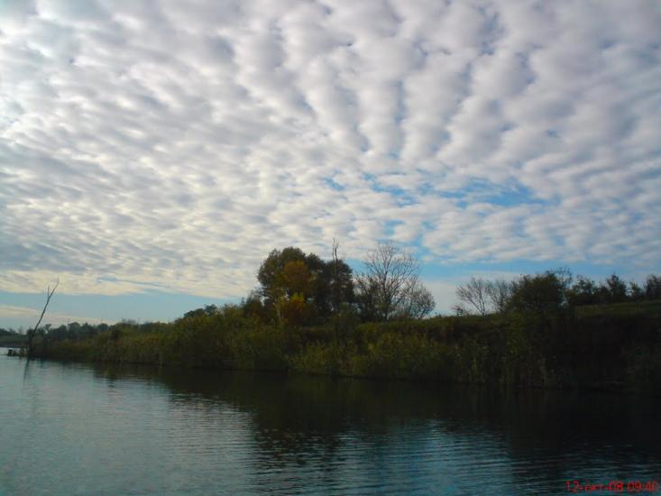 Жовте з panoramio.com - Жовте