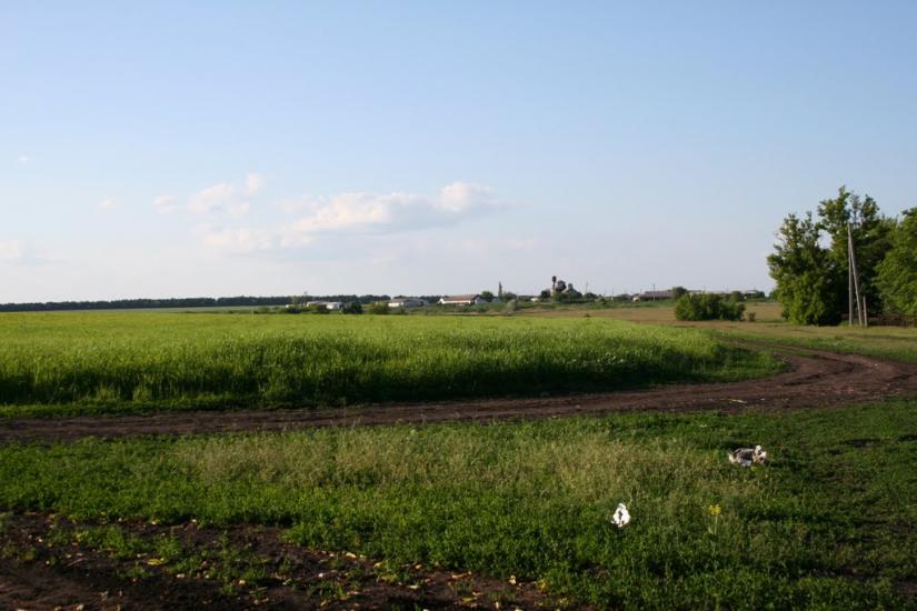 Плетений Ташлик з panoramio.com - Плетеный Ташлык