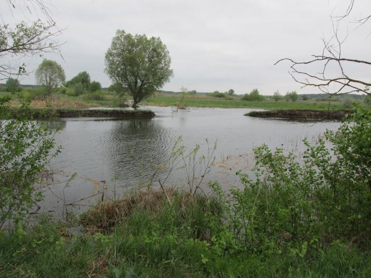 Дмитрівка з panoramio.com - Дмитровка