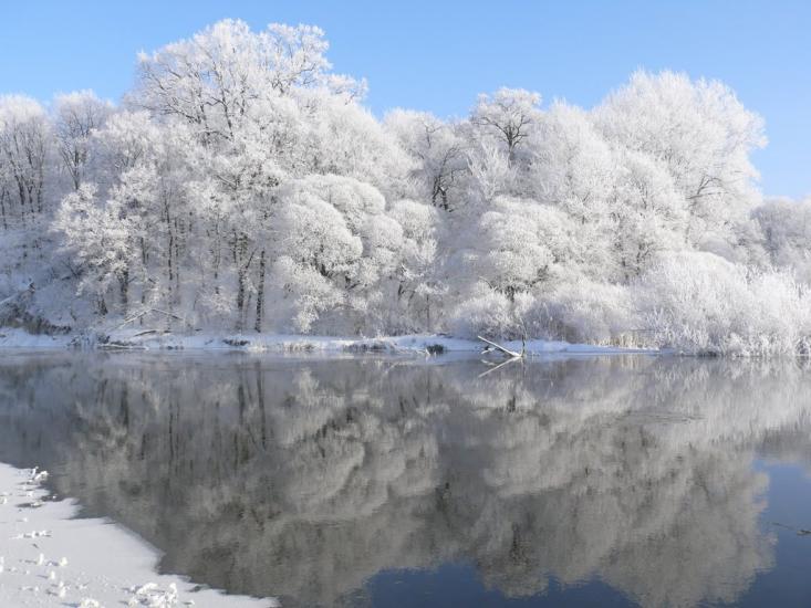 Завишень з panoramio.com - Zavyshen