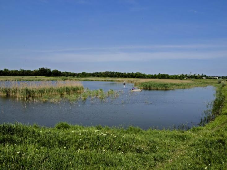 Чапаєвка з panoramio.com - Чапаевка