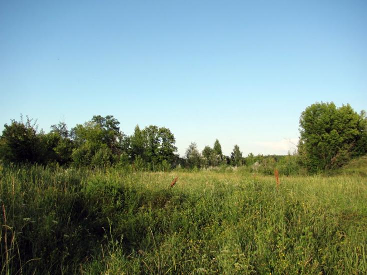 Хорошеве з panoramio.com - Хорошево