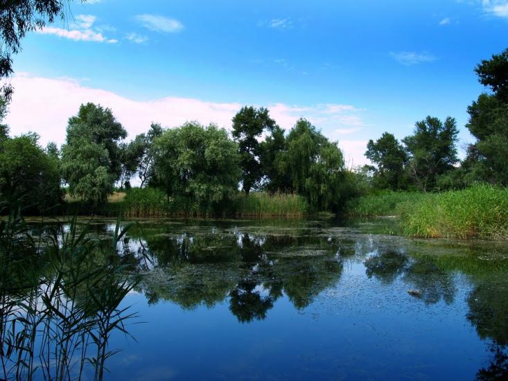 Кам'янка-Дніпровська з panoramio.com - Каменка-Днепровская