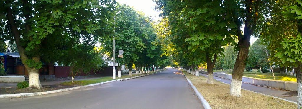 Козельщина з panoramio.com - Kozelschyna