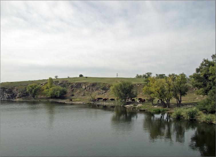 Лозуватка з panoramio.com - Лозуватка