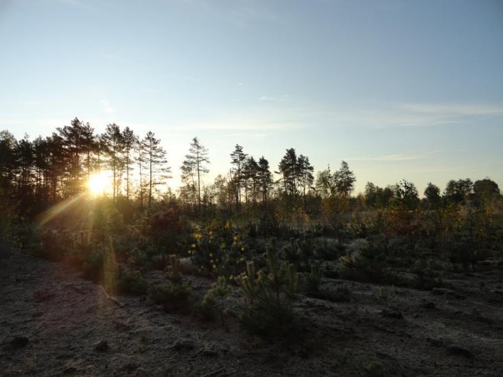 Градиськ з panoramio.com - Градиськ
