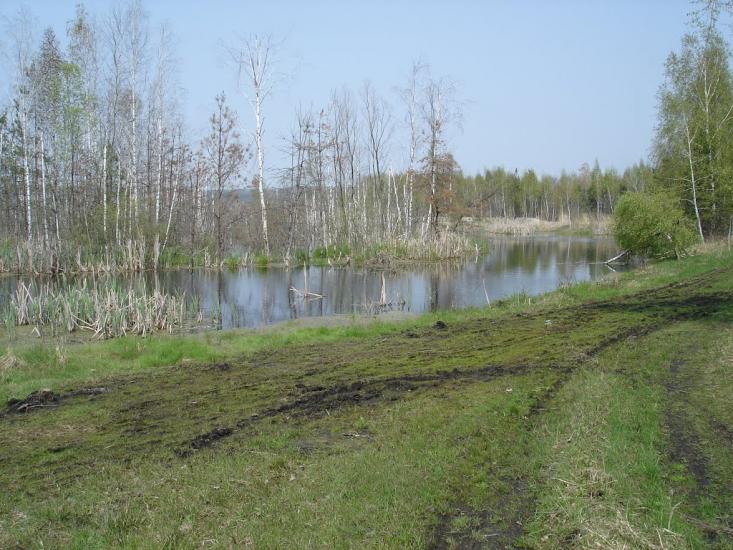 Ірдинь з panoramio.com - Ирдынь