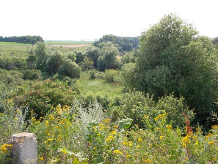 Данилове з panoramio.com - Данилове