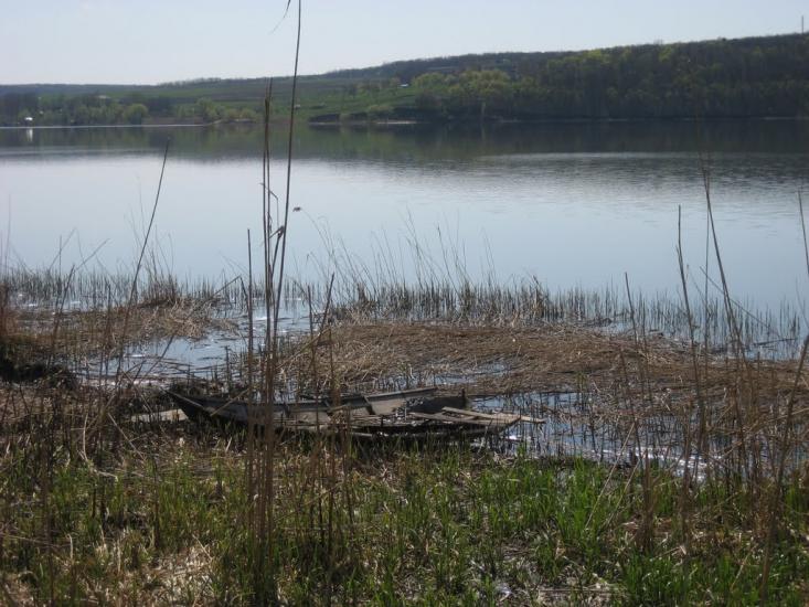 Липці з panoramio.com - Липцы