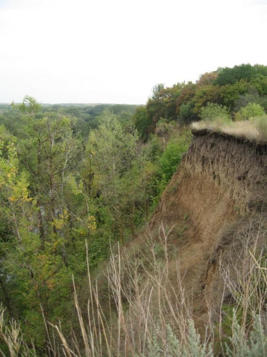 Плавні з panoramio.com - Плавни