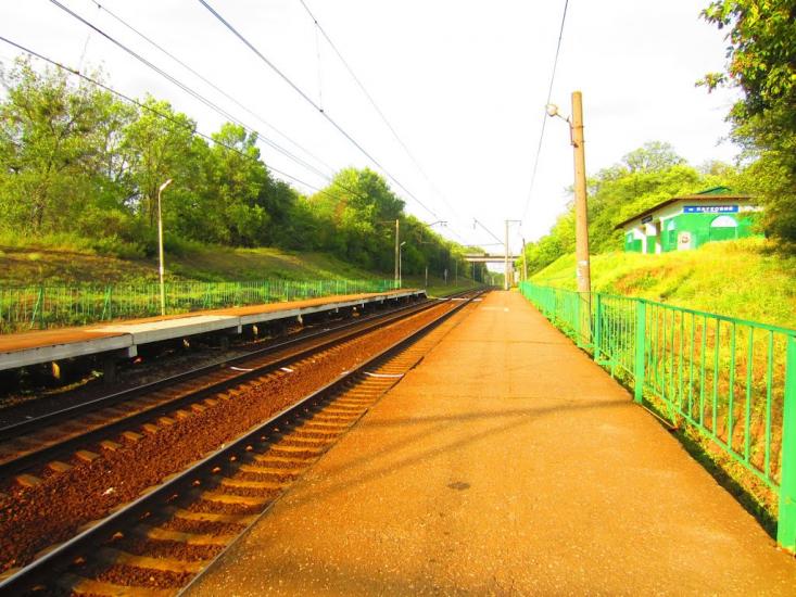 Високий з panoramio.com - Высокий