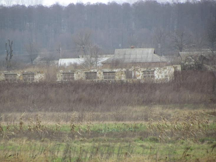 Сиваківці з panoramio.com - Сиваківці