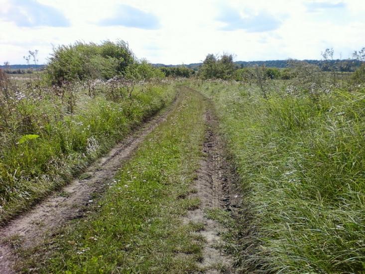 Калинівка з panoramio.com - Калиновка